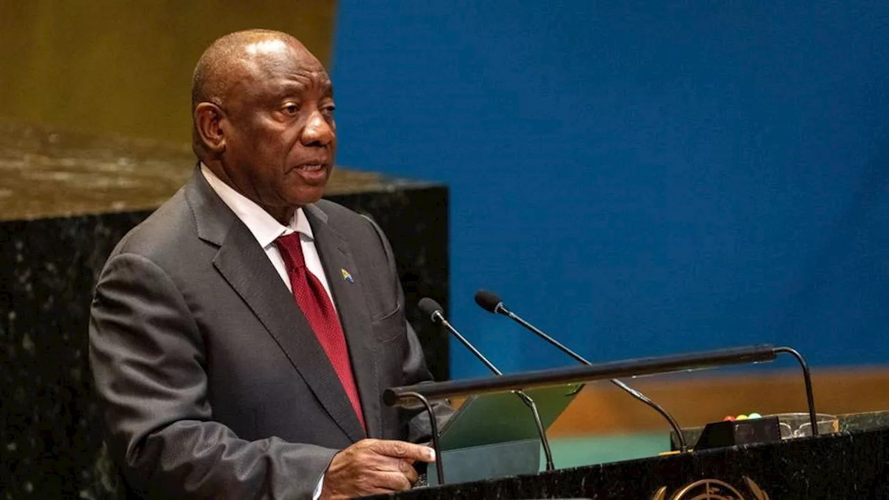 UNSC no longer apt, does not represent all countries: South Africa