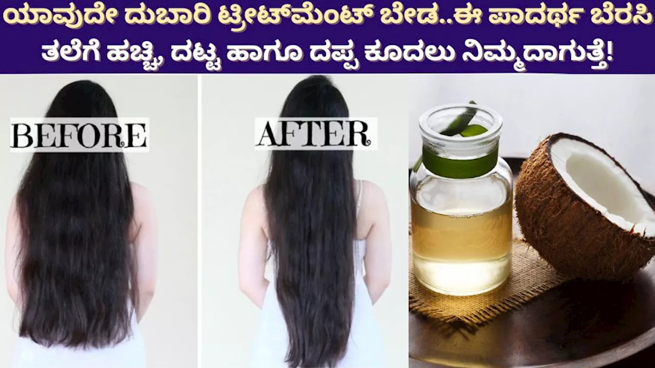 Hair Growth Tips: ಯಾವುದೇ ದುಬಾರಿ ಟ್ರೀಟ್‌ಮೆಂಟ್‌ ಬೇಡ..ಜಸ್ಟ್‌ ಎಣ್ಣೆಗೆ ಈ ಪಾದರ್ಥ ಬೆರಸಿ ತಲೆಗೆ ಹಚ್ಚಿ, ದಟ್ಟ ಹಾಗೂ ದಪ್ಪ ಕೂದಲು ನಿಮ್ಮದಾಗುತ್ತೆ!