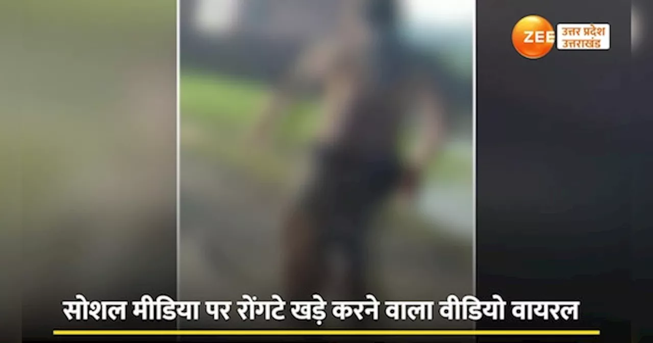 Kanpur Dehat Video: सड़क पर तड़पे...मदद भी मांगी, अग्निकांड में झुलसे मजदूरों का रोंगटे खड़े करने वाला वीडियो वायरल