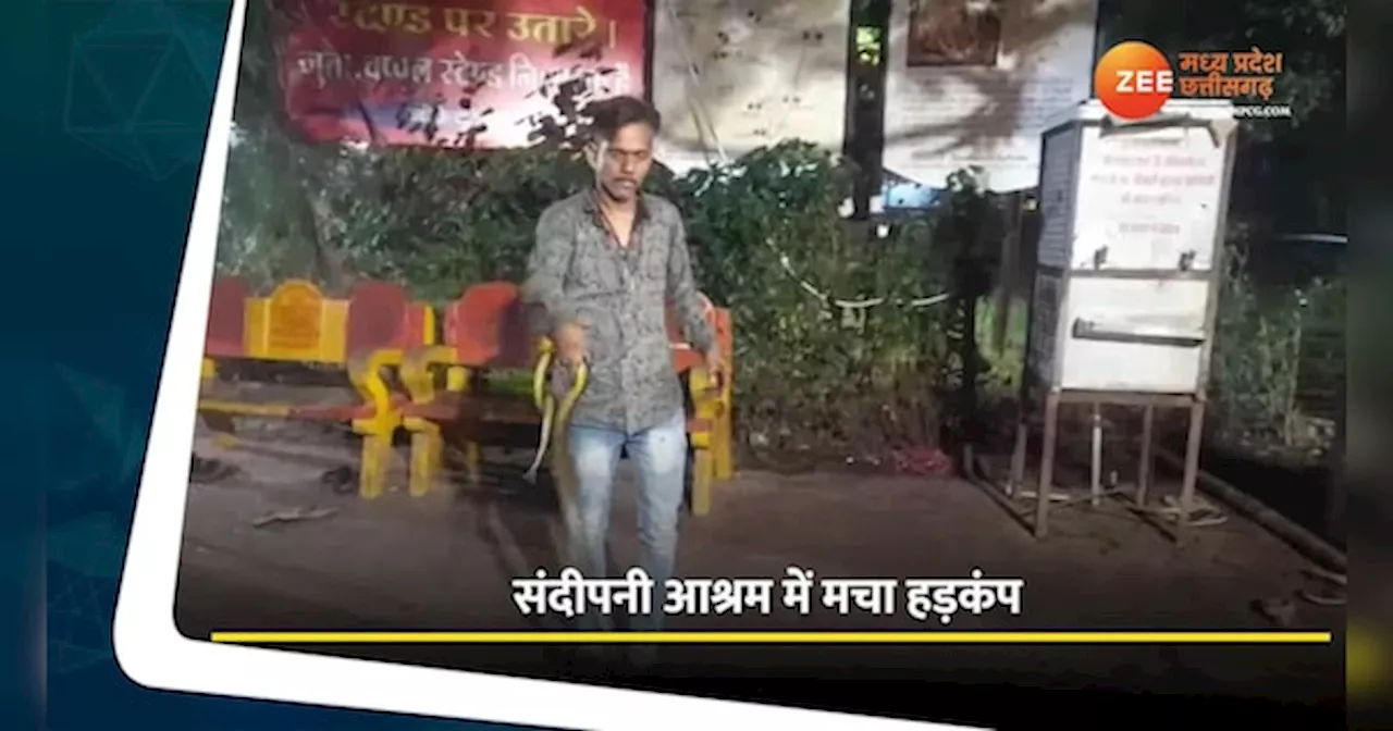 Ujjain Video: संदीपनी आश्रम में श्रद्धालुओं के बीच अचानक आया सांप, फिर हुआ कुछ ऐसा, देखें वीडियो