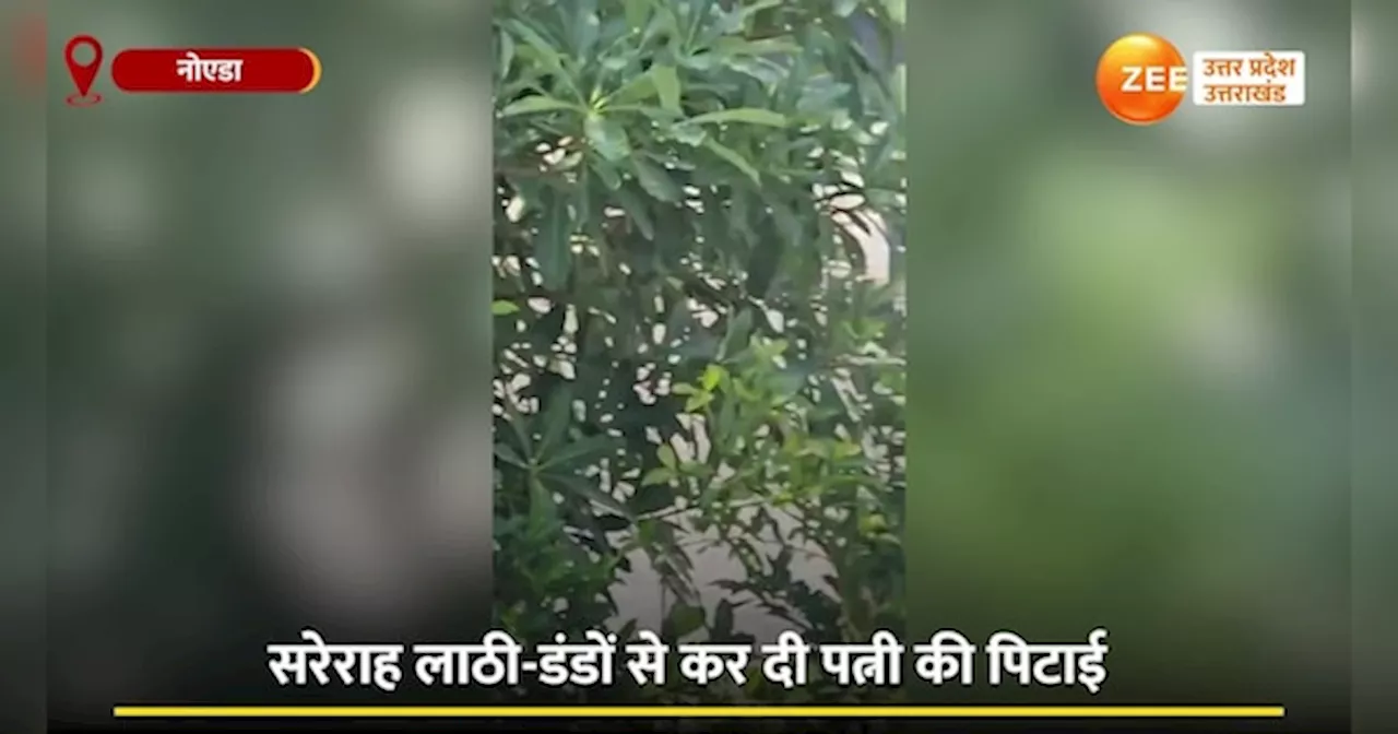 Video: बीच सड़क पर पत्नी पर लाठी-डंडे बरसाता रहा बेरहम पति, तमाशाबीन बनी रही पब्लिक