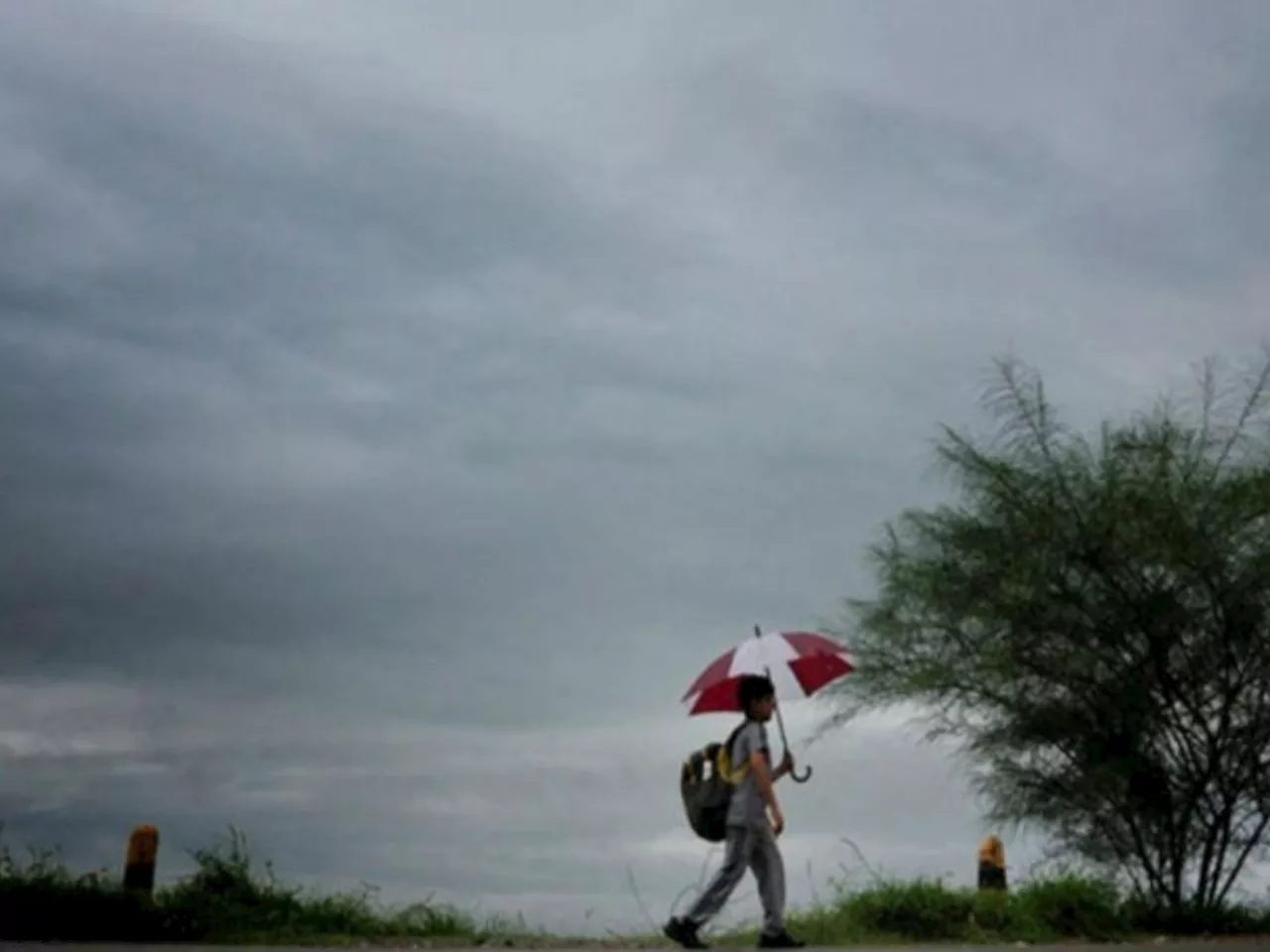 Weather Update : येत्या 4-5 दिवसांत पावसाचा जोर वाढणार, IMD चा अंदाज