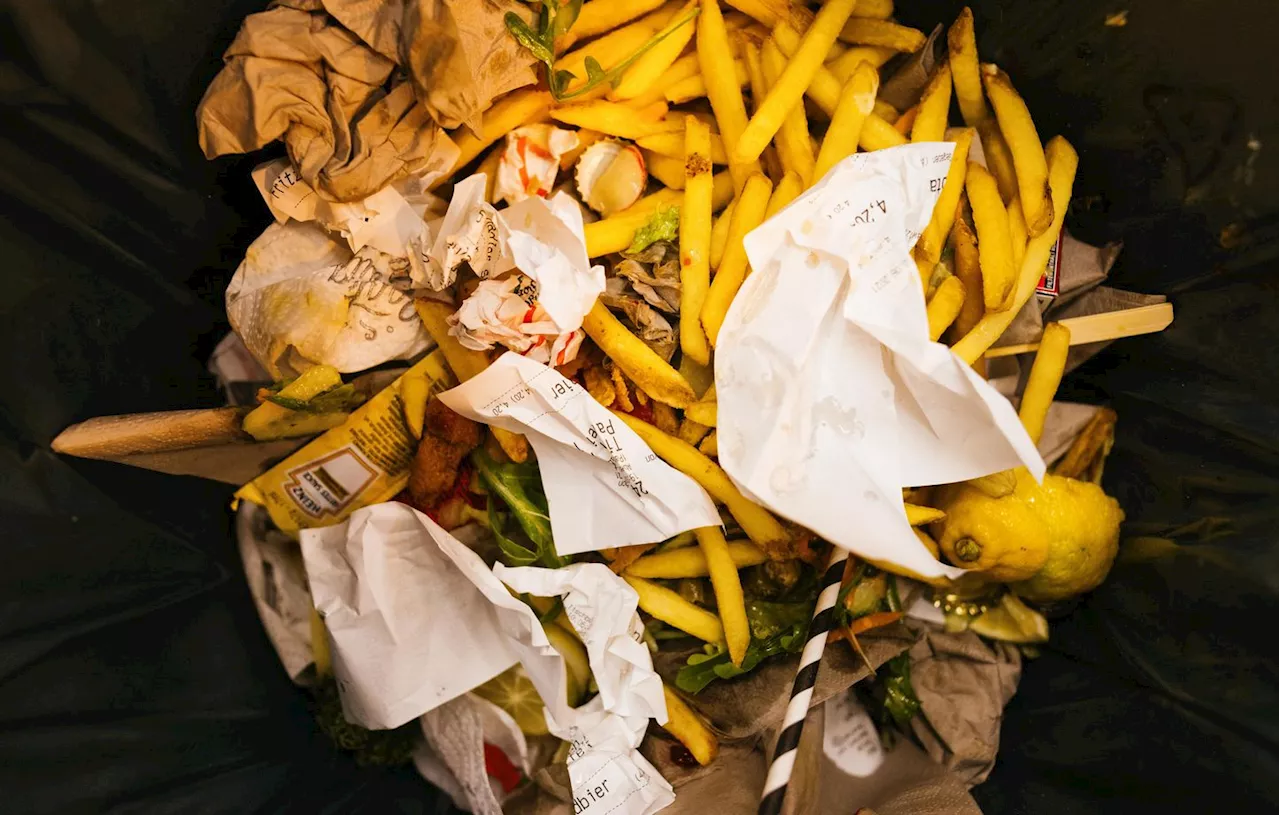 Déchets : Chaque Français jette en moyenne 25 kilos de nourriture chaque année