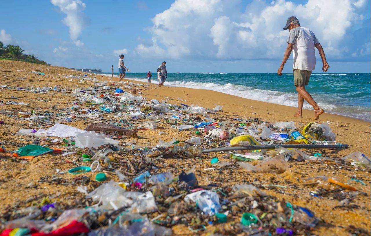 L'acidification des océans franchit un nouveau seuil d'alerte