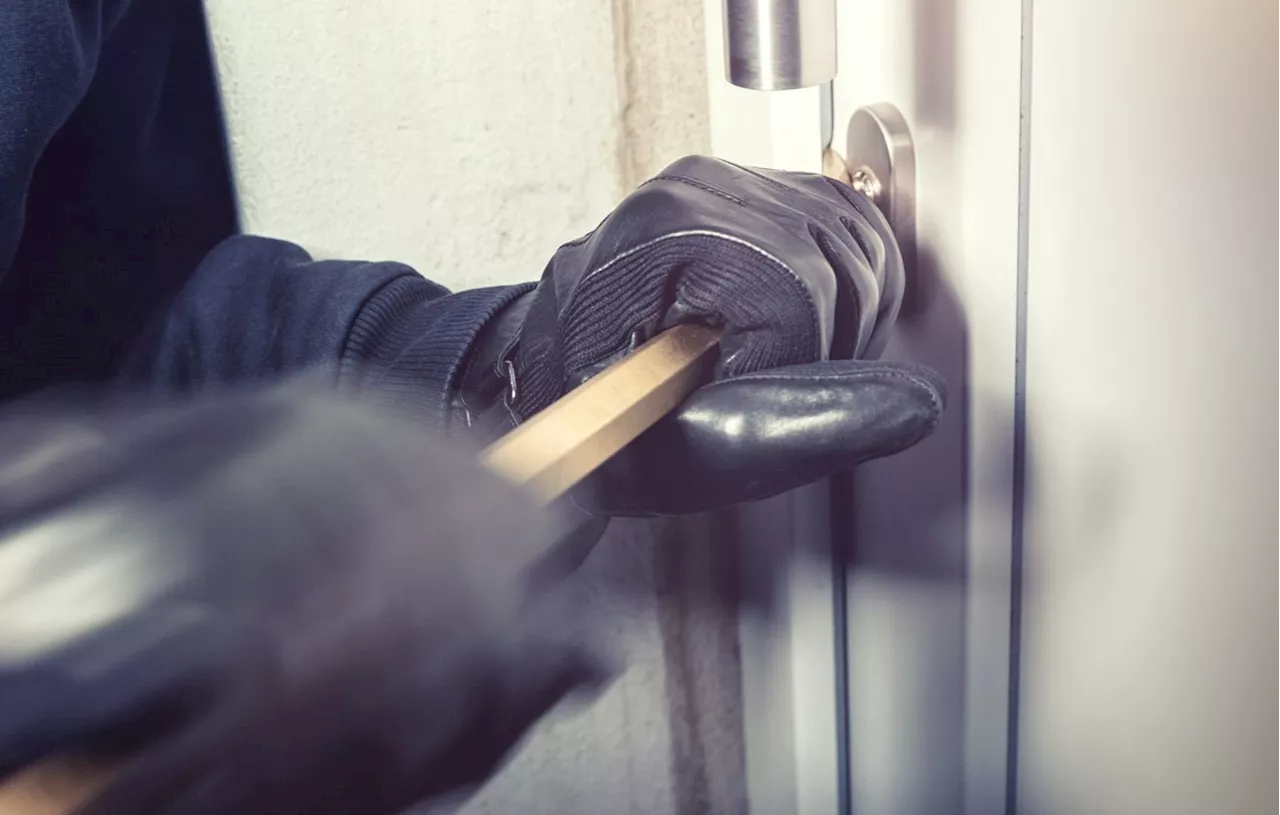 Deux cambrioleurs interpellés après un home-jacking violent en Seine-et-Marne