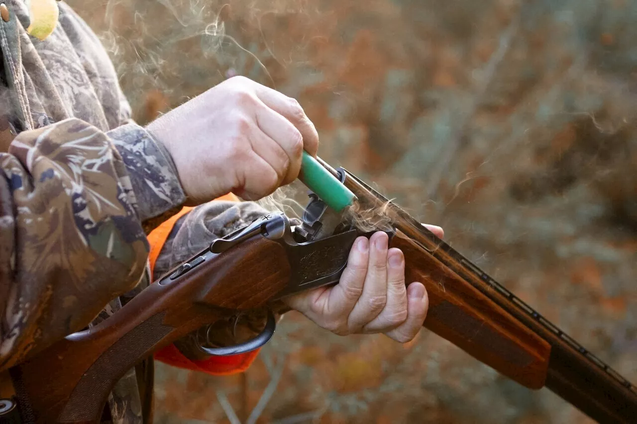 Ardèche : un chasseur meurt d'une balle dans le thorax en pleine partie de chasse