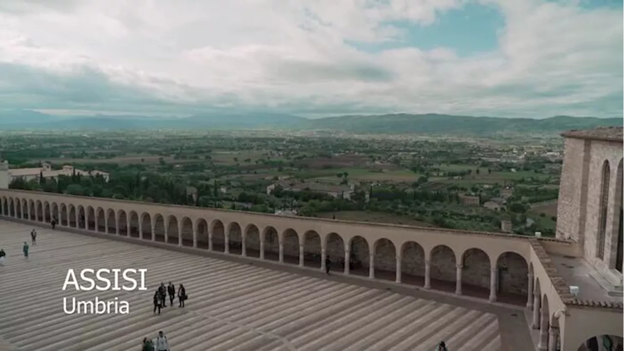 Partito il 'Cammino per gli animali', cani in viaggio da Assisi a Piazza San Pietro