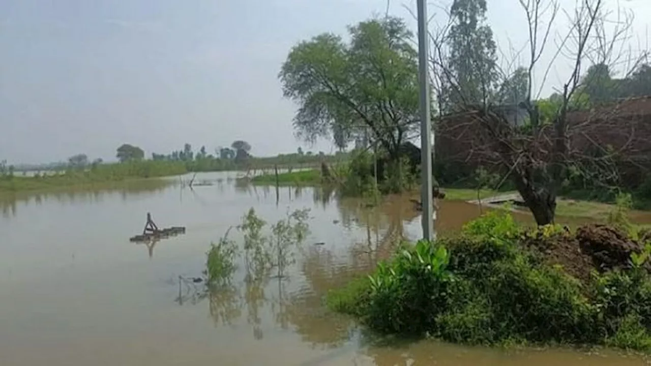 Weather: बिहार के 12 जिलों में बाढ़ से मची तबाही, हिमाचल में गर्मी के साथ उमस बढ़ी