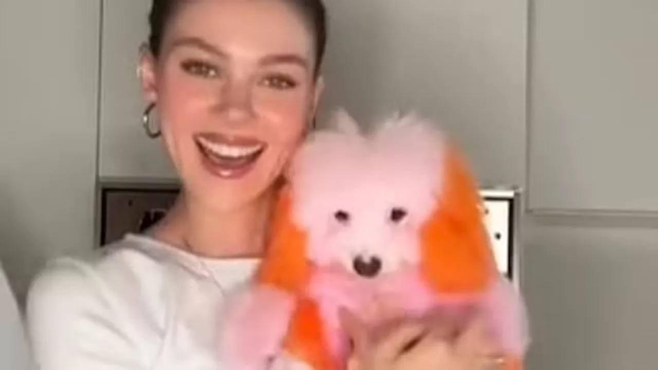 Nicola Peltz-Beckham färbt ihre Hunde rosa und orange - Netz empört