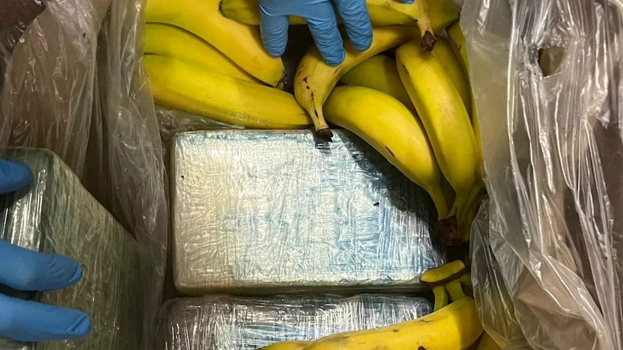 Supermarkt: Aldi-Mitarbeiter finden 95 Kilo Koks in Bananenkisten