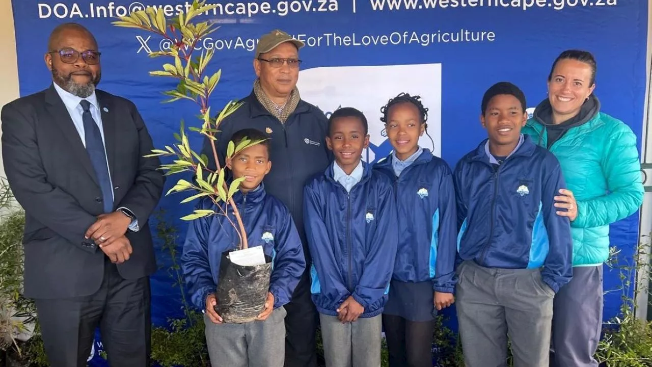 Western Cape to distribute indigenous trees to schools in climate change mitigation effort