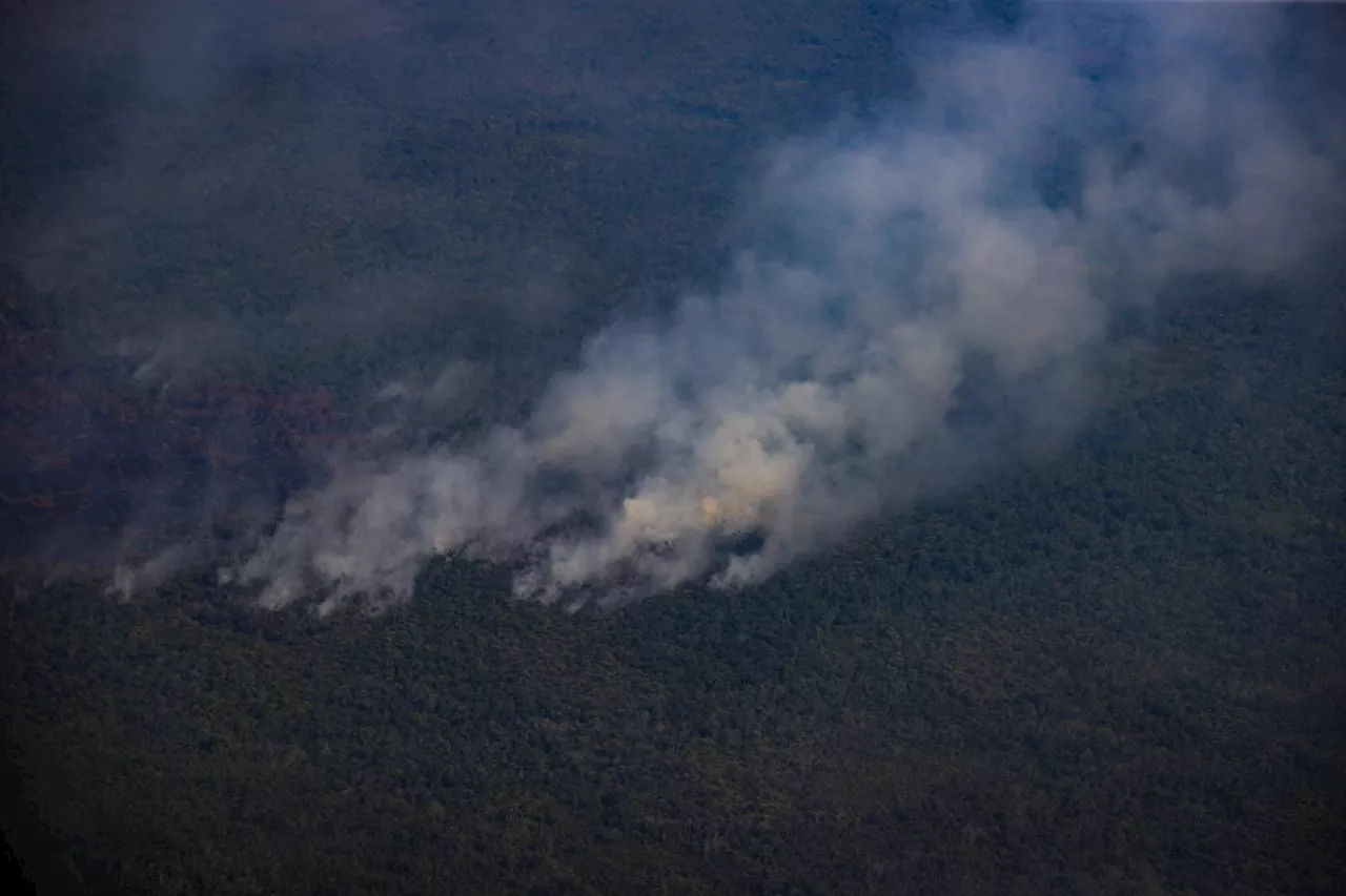 Cerca de 50 incêndios florestais assolam a selva e os Andes no Peru