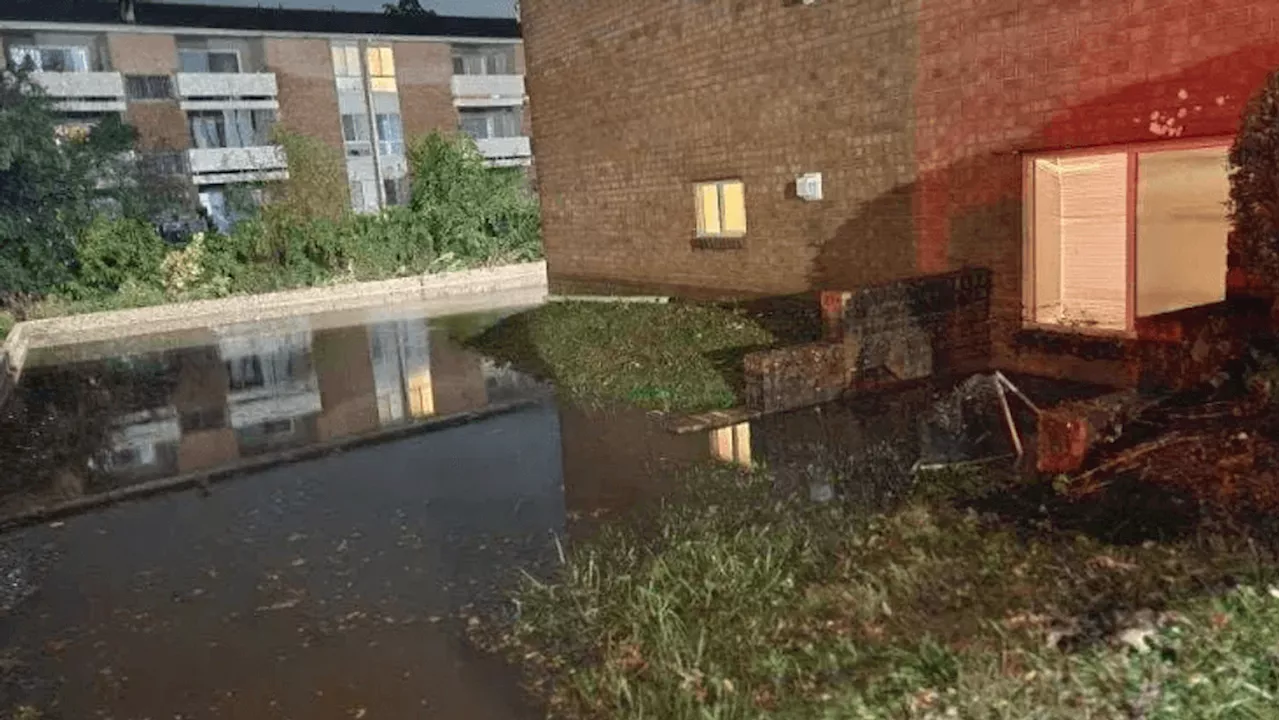 'Break the window': Family narrowly escapes after flood swallows Harrisburg apartment