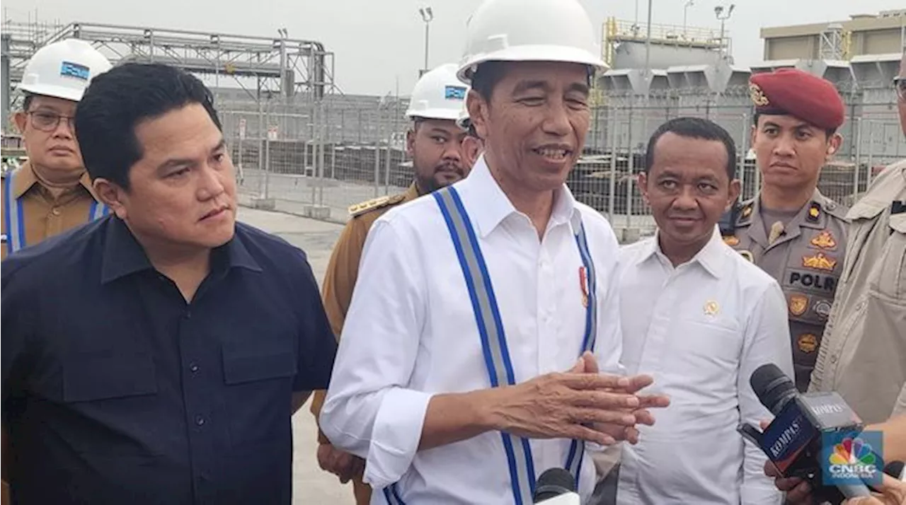 Jokowi Bocorin RI Mau Nambah 10% Saham Freeport, Ini Infonya