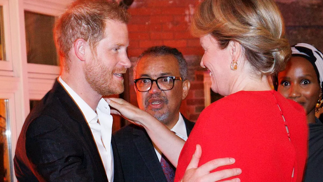 Prince Harry showed 'possible signs of struggling' at WHO dinner with Queen Mathilde