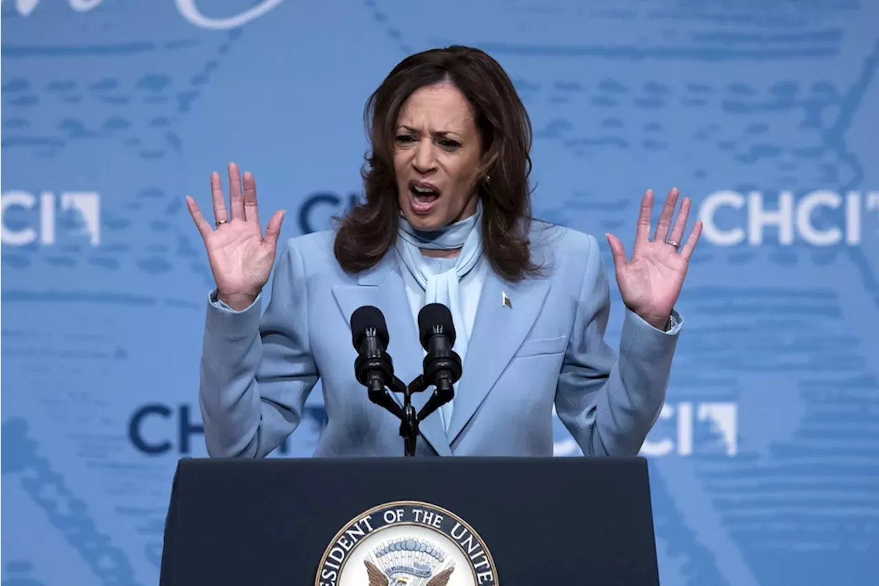 Liberal Media Scream: PBS says Harris a ‘happy warrior’ ready to ‘slap’ Trump