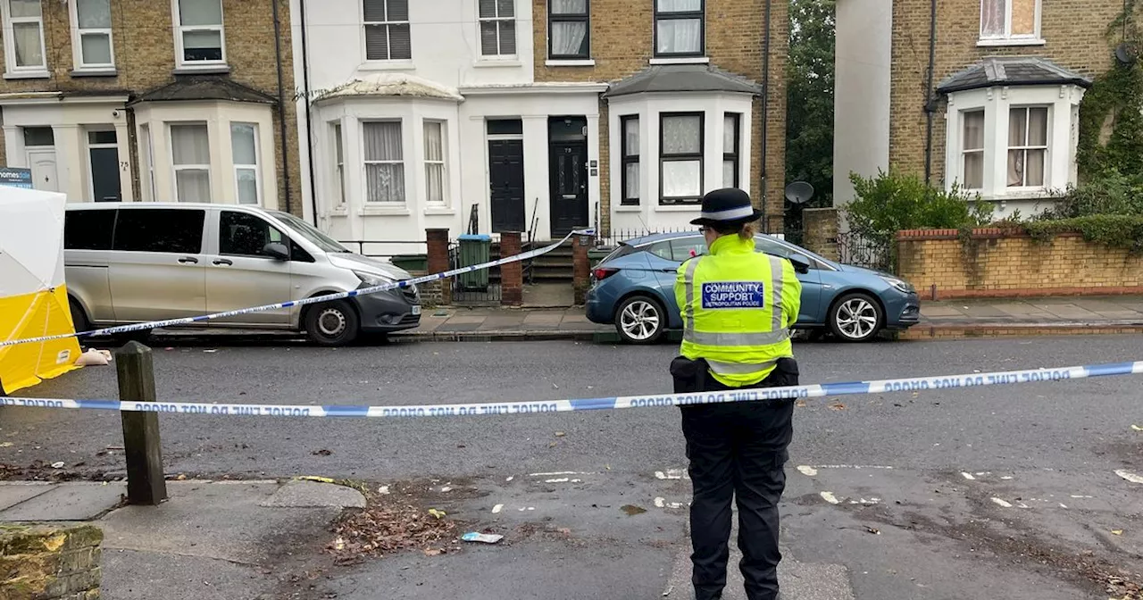 Stabbed schoolboy begged 'don't let me die' as he bled to death in London street