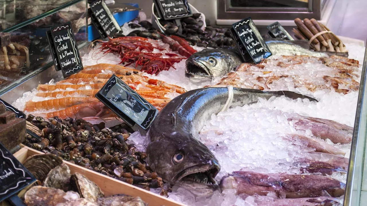 Ordenan la retirada total de este famoso marisco de España del supermercado y piden no tomarlo