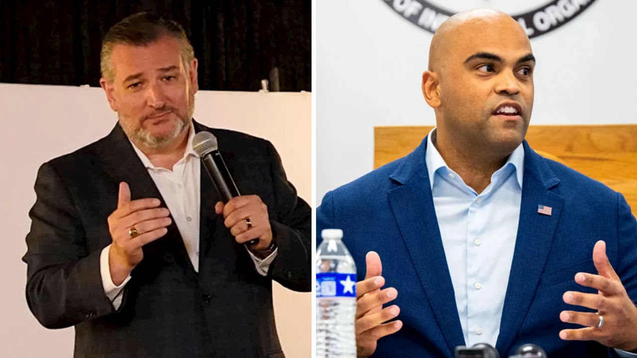 Ted Cruz vs Colin Allred: A Heated Texas Senate Race