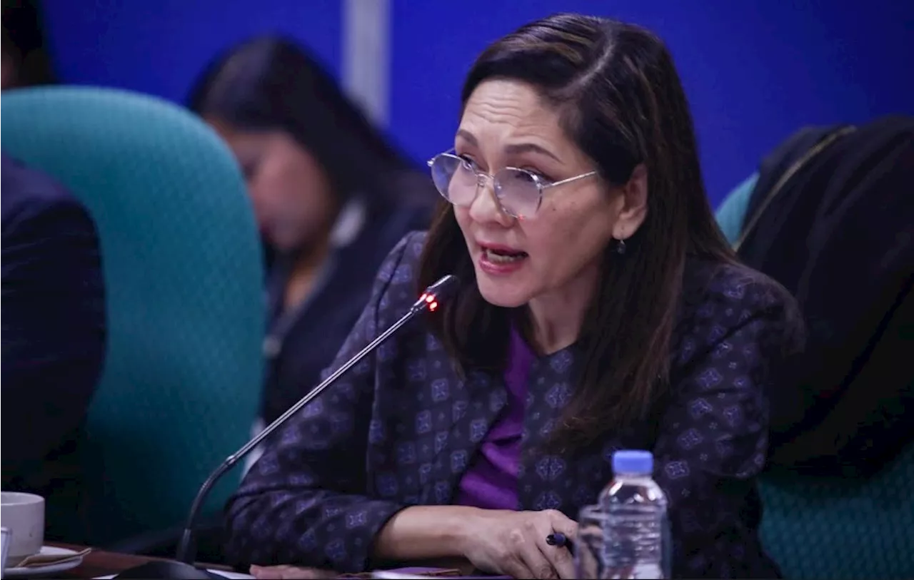 Hontiveros says Yang brothers part of ‘massive crime syndicate’