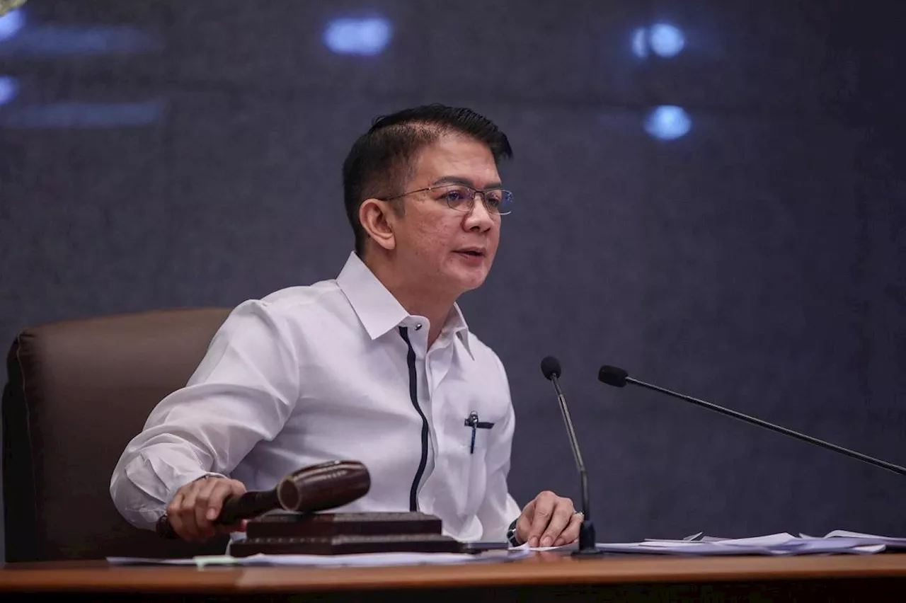 Senators deny coup plot vs Chiz Escudero