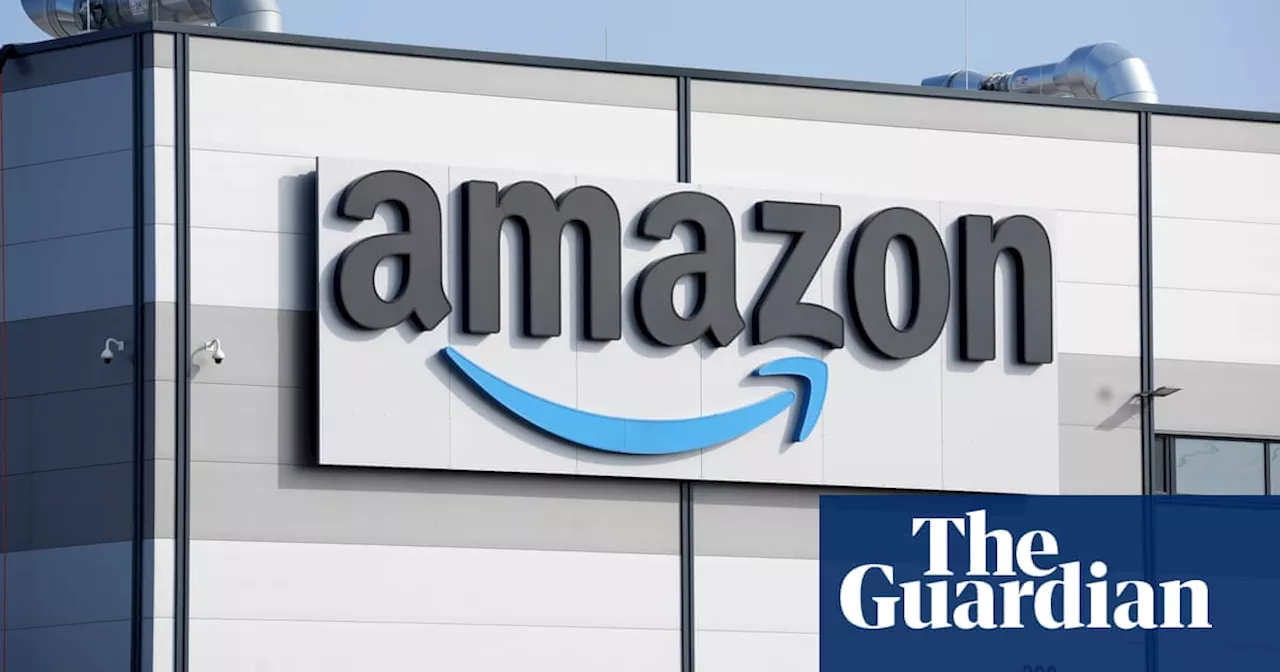 Amazon, Tesla and Meta among world’s top companies undermining democracy