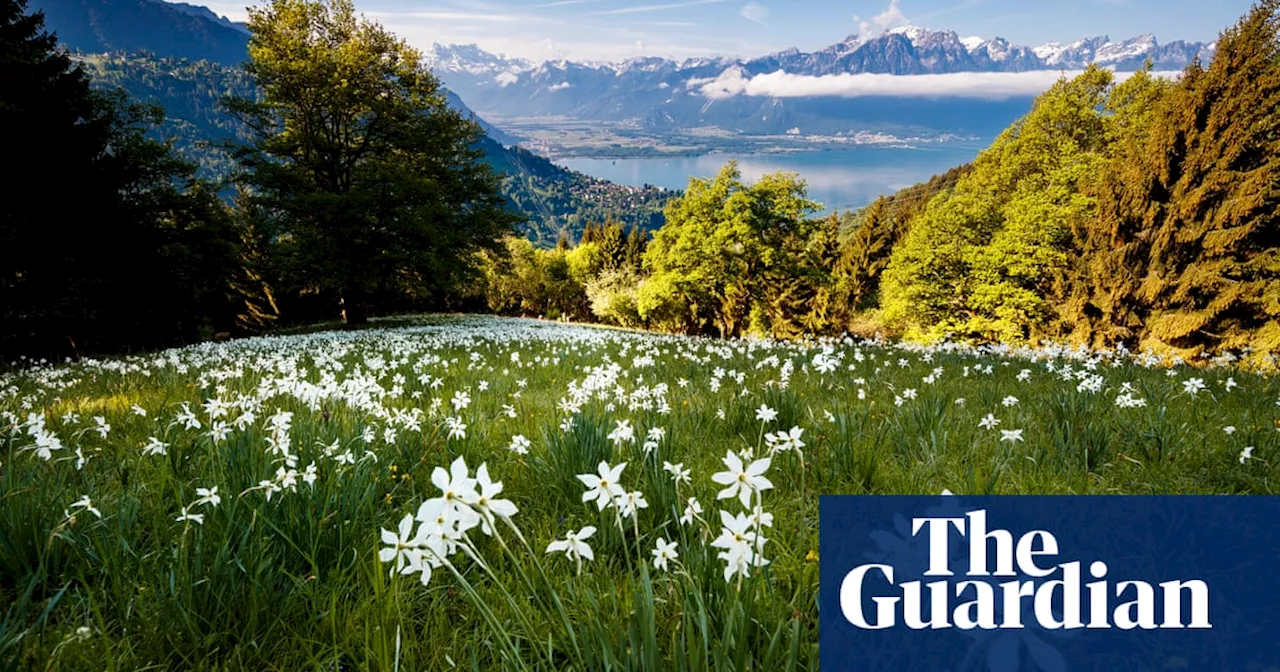 Swiss Voters Reject Proposal to Protect Biodiversity