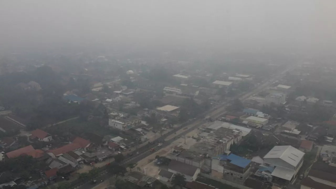 Kabut Asap di Palangka Raya Hilang Sementara akibat Hujan, Titik Panas Masih Bermunculan