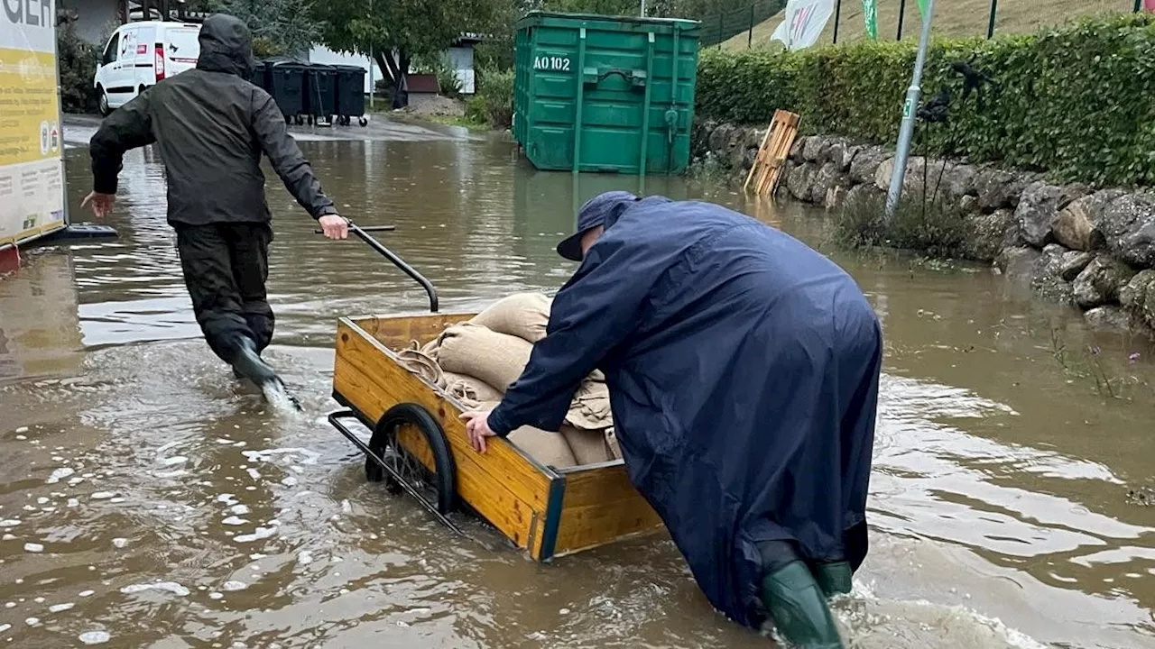 Tierheim St. Pölten schwer von Flut getroffen