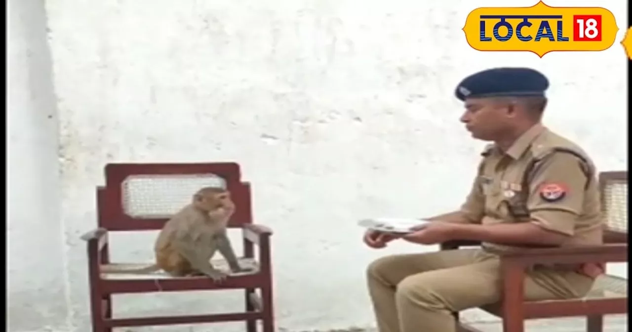 Viral Video: अनोखी है बंदर और पुलिस अफसर की दोस्ती, हर तरफ हो रही चर्चा, देखें वायरल वीडियो