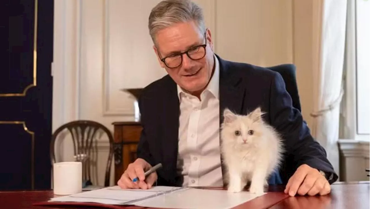 Il premier Starmer presenta Prince, il nuovo gatto di Downing Street. E arriva la replica di Larry