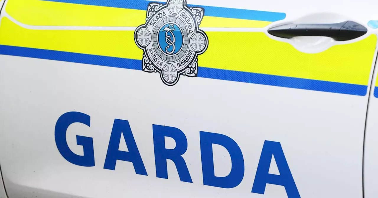 Gardai issue appeal for information on missing Silver Nissan Qashqai Hatchback