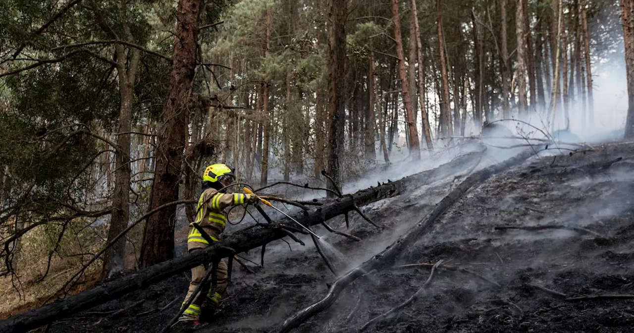 First planetary health check issues Earth red alert