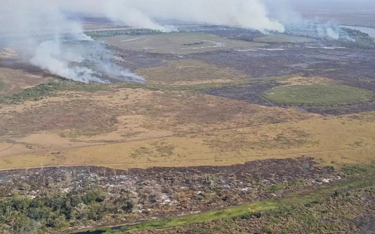 Emissão de gases por incêndios é recorde em dois estados