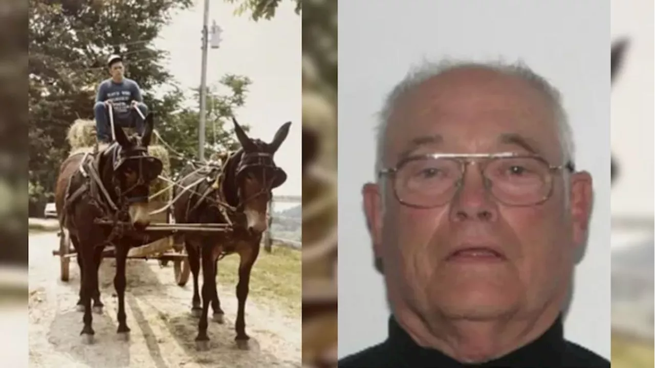 81-year-old man arrested for 1980s sexual assaults at Virginia horse farm