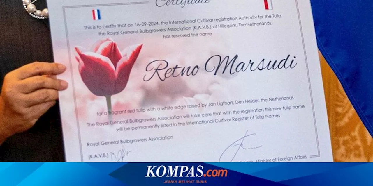 Menlu RI Retno Marsudi Jadi Nama Bunga Tulip di Belanda