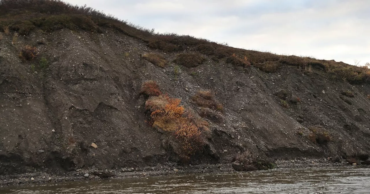 Thawing Alaskan permafrost is unleashing more mercury, confirming scientists’ worst fears