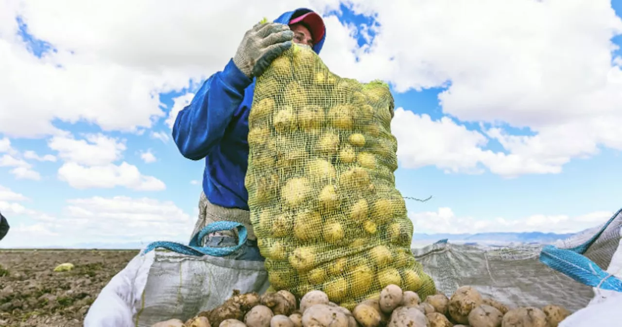 El semáforo de Coninagro: 10 sectores en crisis