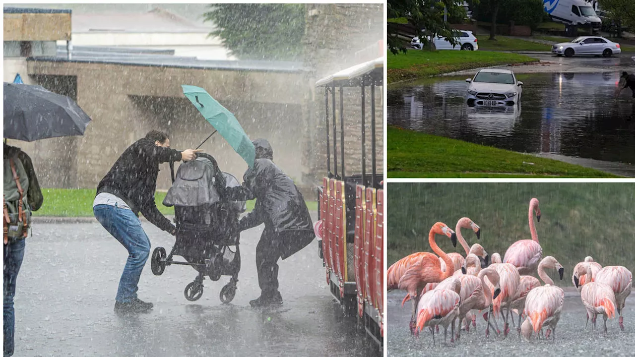 Dunstable high-street left underwater as heavy rain batters England amid fresh wave of flood warnings