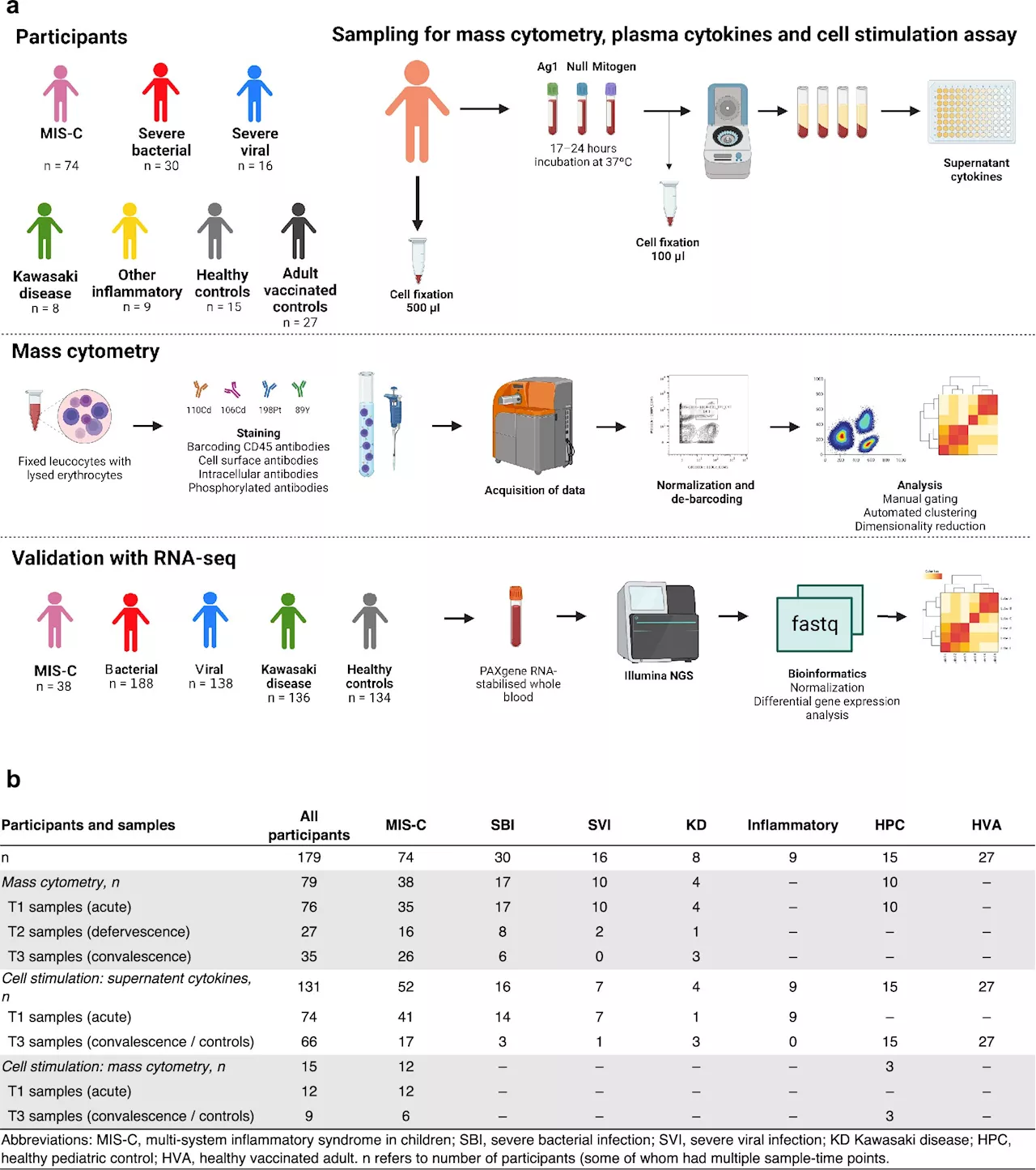 Study sheds new light on immune dysfunction in children with severe infections and inflammatory diseases