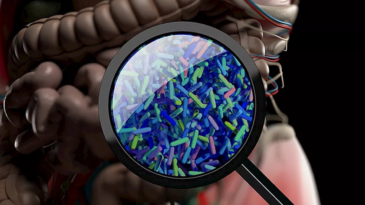 How the Future of Medicine Will Revolve Around Our Gut