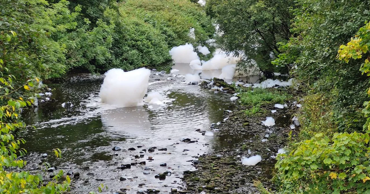 'It was like a foam party in Ibiza going past my window'