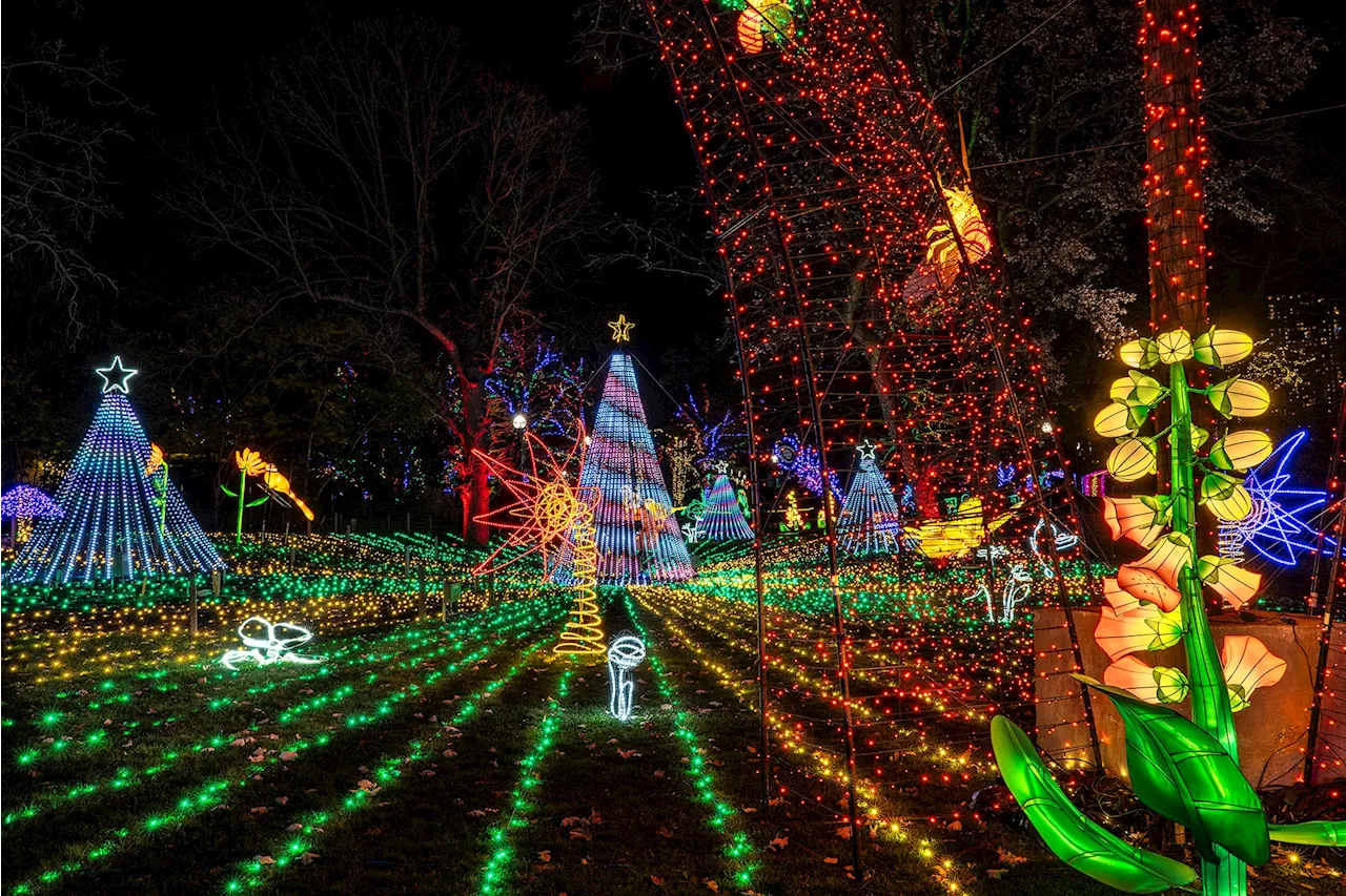 Lincoln Park ZooLights announces dates for holiday season with new attraction for 2024