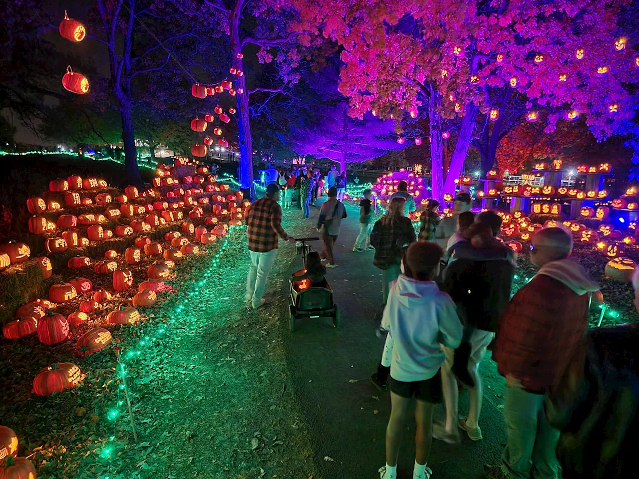 Massive Jack O'Lantern festival coming to the northern suburbs for Halloween