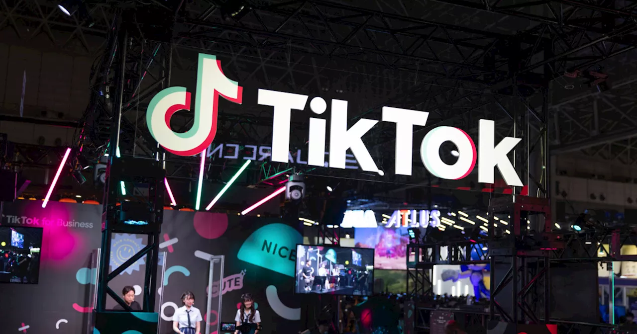 TikTok struggles to enforce ban on political ads as election nears