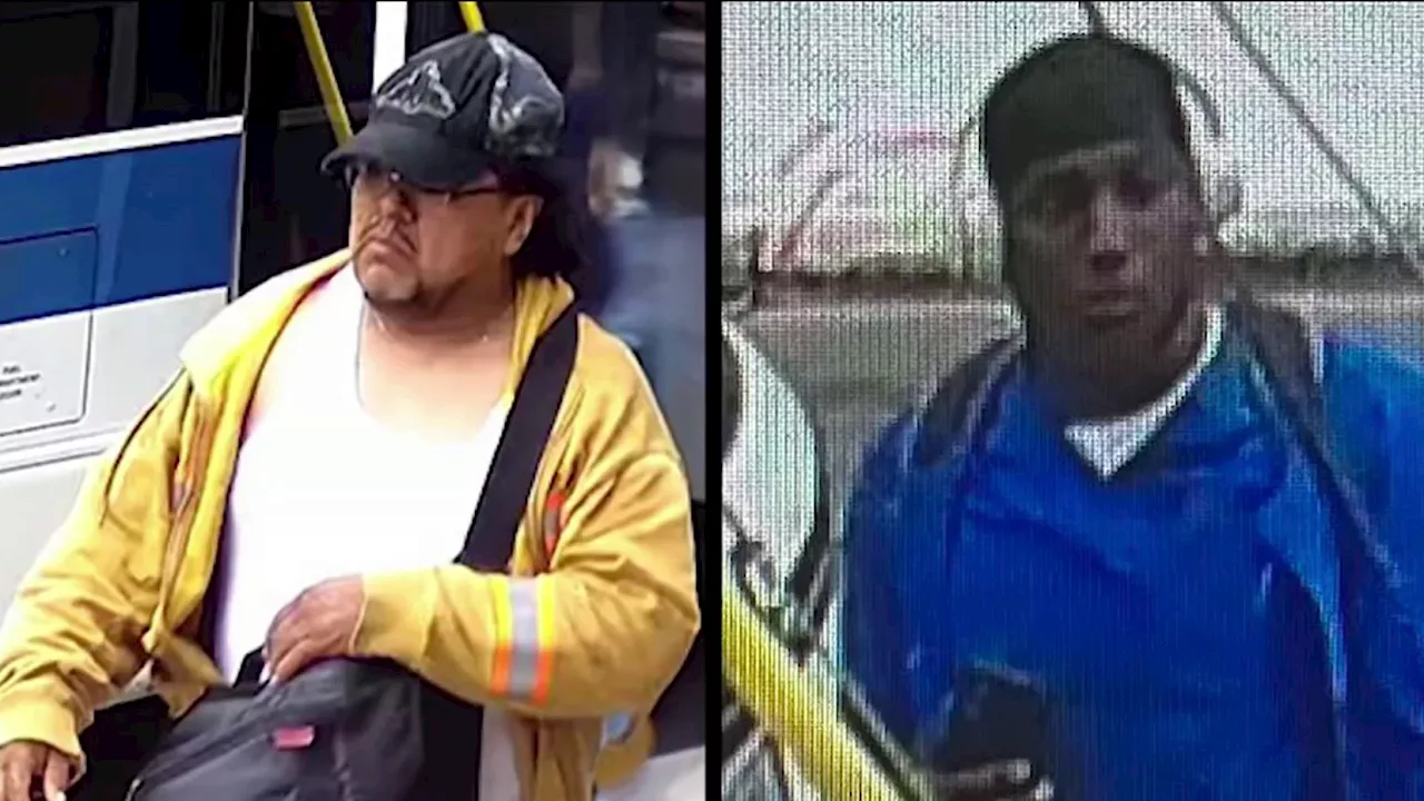 2 different gropers wanted for targeting young girls in Queens: NYPD