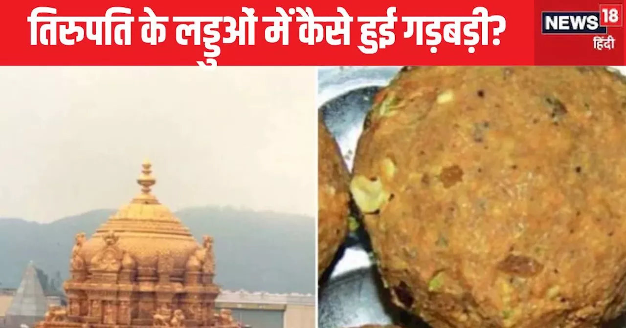 Triputi Laddu Row: जगनमोहन ने वह कौन सा न‍ियम बदला, ज‍िसके बाद हुई तिरुपति मंदिर के लड्डू में ये पूरी गड़बड...