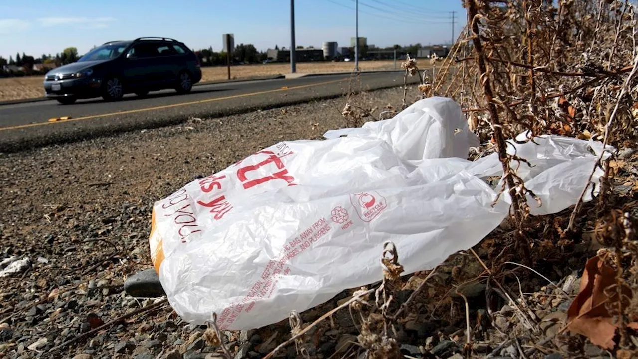 California Bans All Plastic Shopping Bags