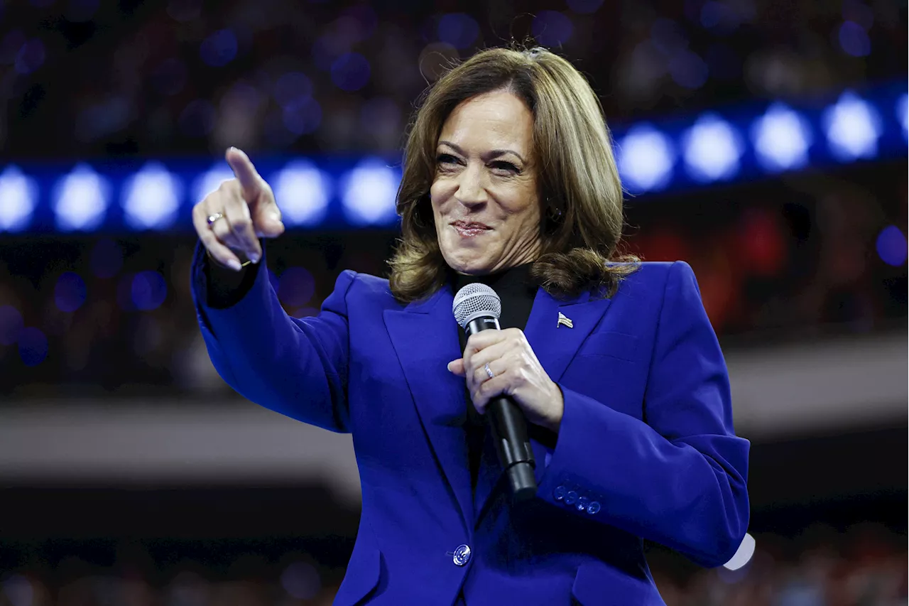 Kamala Harris Gets Good News in Swing State, Poll Shows