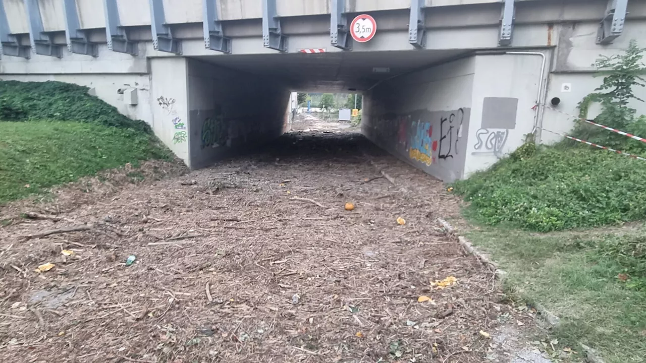 Bürgermeister: „Korneuburger dürfen stolz auf ihre Stadt sein!“